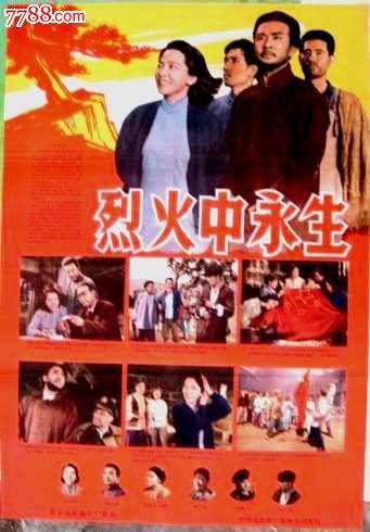 怎么购买英国驾驶执照